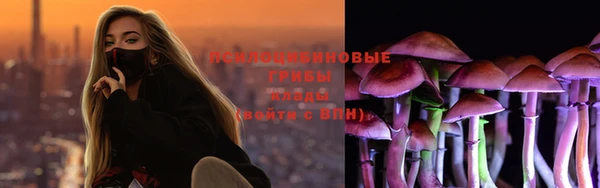 ГАЛЛЮЦИНОГЕННЫЕ ГРИБЫ Волоколамск
