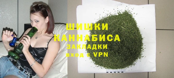 молекула духа Володарск