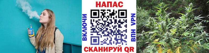 Купить где  Учалы  Конопля AK-47 